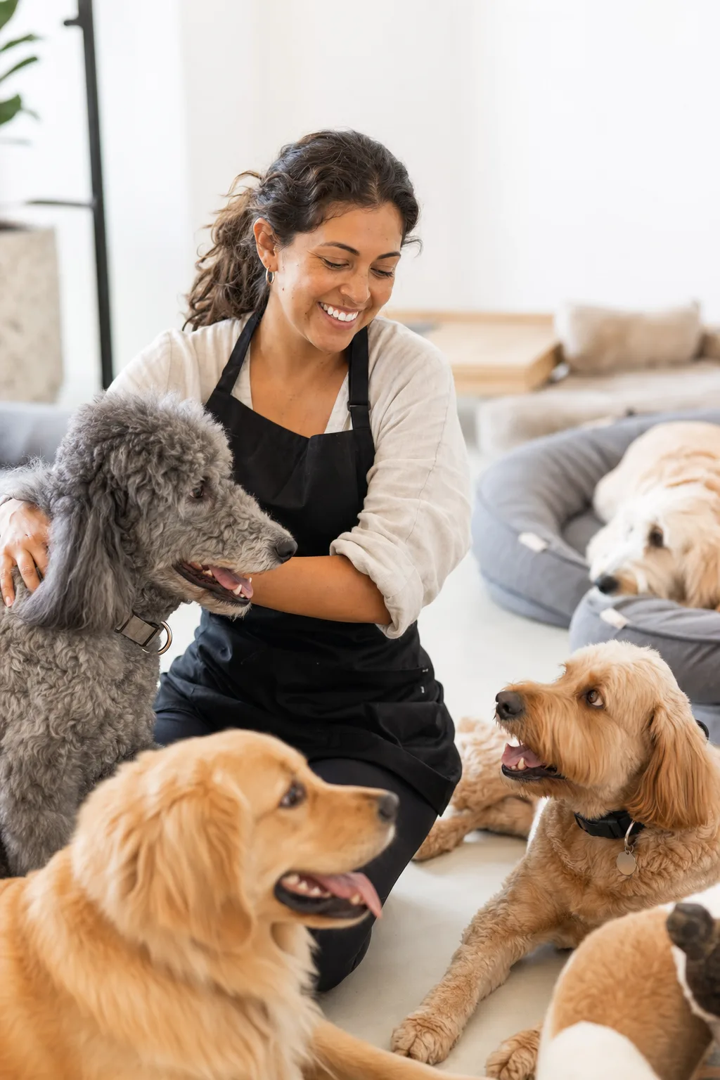 a Latina woman in her 30s with wavy brown hair tied back with a group of happy dogs including a standard poodle with a soft gray coat in a bright pet daycare